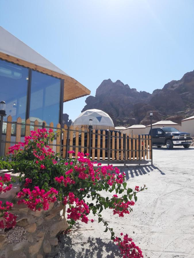 Hotel The Rock Camp Petra 5*